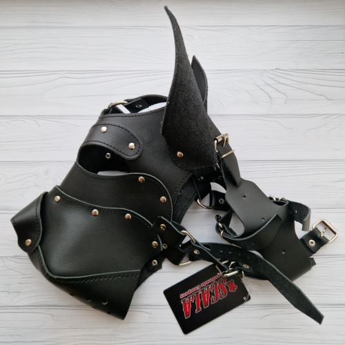 11a5afcd-0e14-40ff-aa73-5998263bb05b