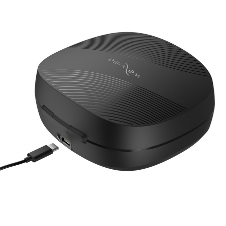 WV_Chorus Pro_case cable_4000x2499