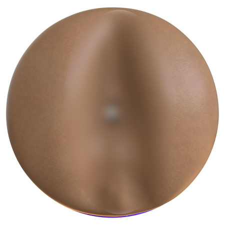 810476011369 (4)