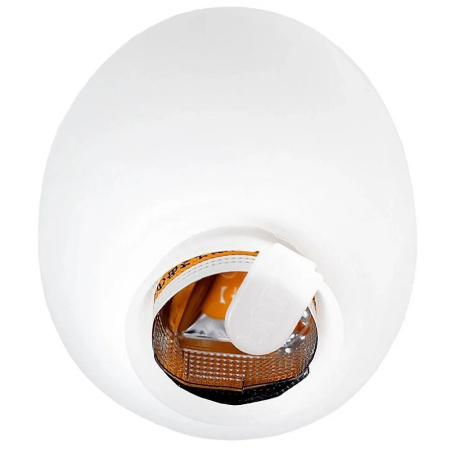 EGG-010 (2)
