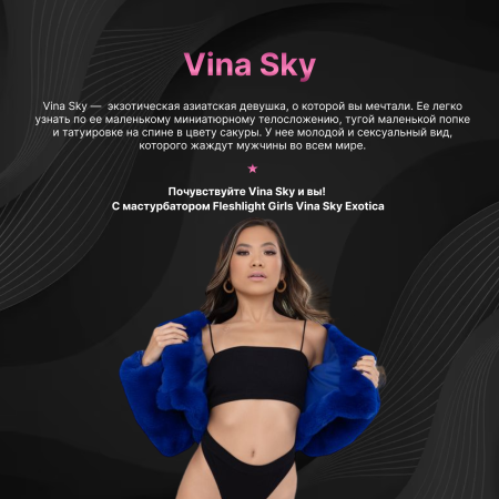 11789 - Мастурбатор Fleshlight Girls Vina Sky Exotica, вагина | Казанова 69