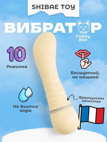 BAE01T01 - Вибратор G-точки Shibae Toys | Казанова 69
