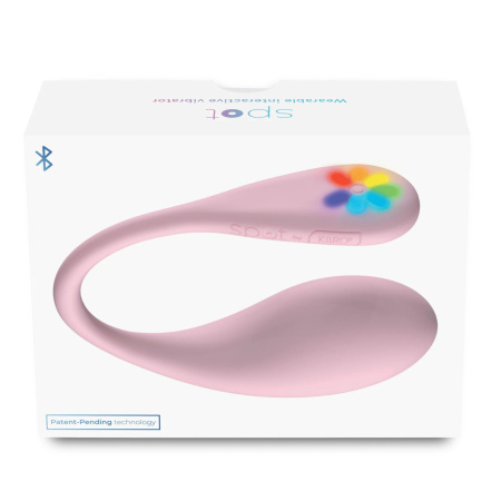 Spot_2.0_box_-_front_view_result