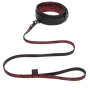 FSOG_Sweet Anticipation_COLLAR AND LEAD_productimage_03_result