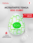EGG-R03 (1)