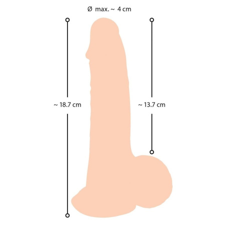 05548120000_nor_i_result